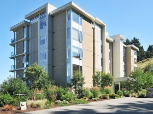 SaywardHillTe738-303_0