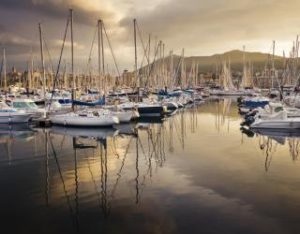 istock_000013207079medium